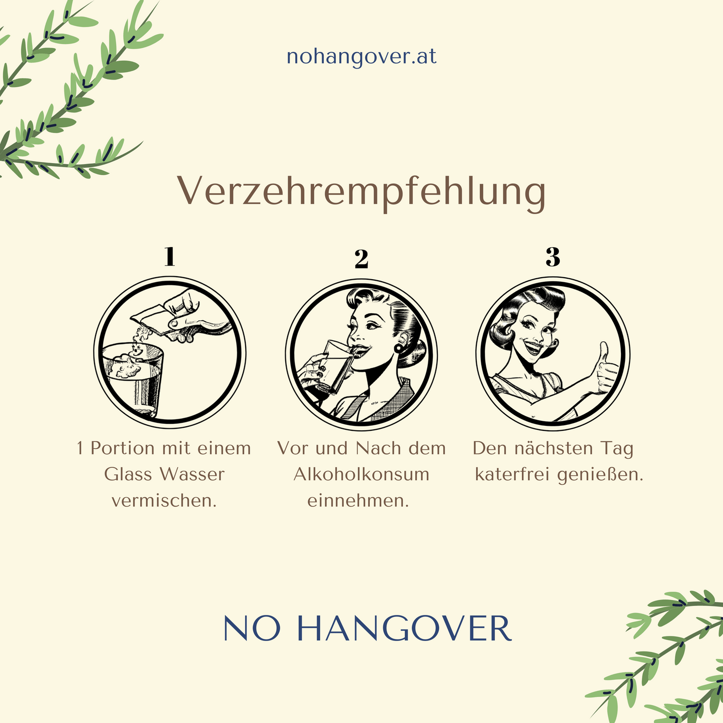 Anti-Kater-Mittel NOHANGOVER 12 Portionen